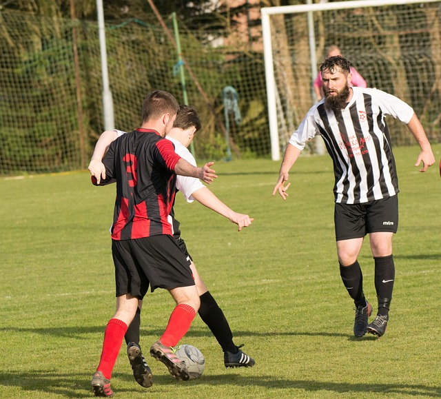 小萨23+28国王大胜绿军6连胜 公牛送奇才5连败.