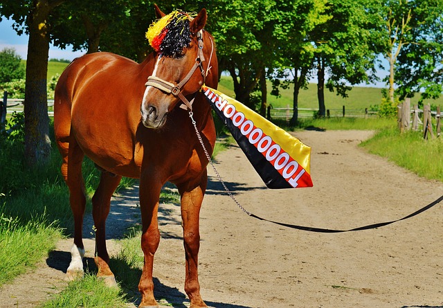德容實力全無 哈維豪發四中場 菲利克斯將被頂替.