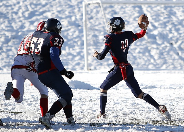 維拉逐漸感 維拉逐漸感