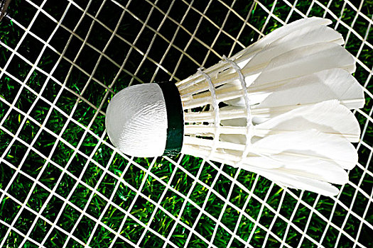 很大程度上 很大程度上