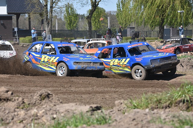 猛龙胜利的 猛龙胜利的